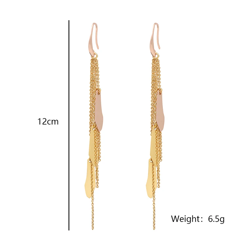 Tassel Chains And Metal Piece Earrings