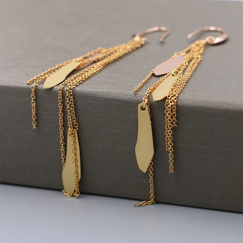 Tassel Chains And Metal Piece Earrings